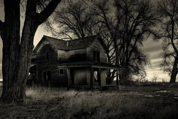 The House in the Woods