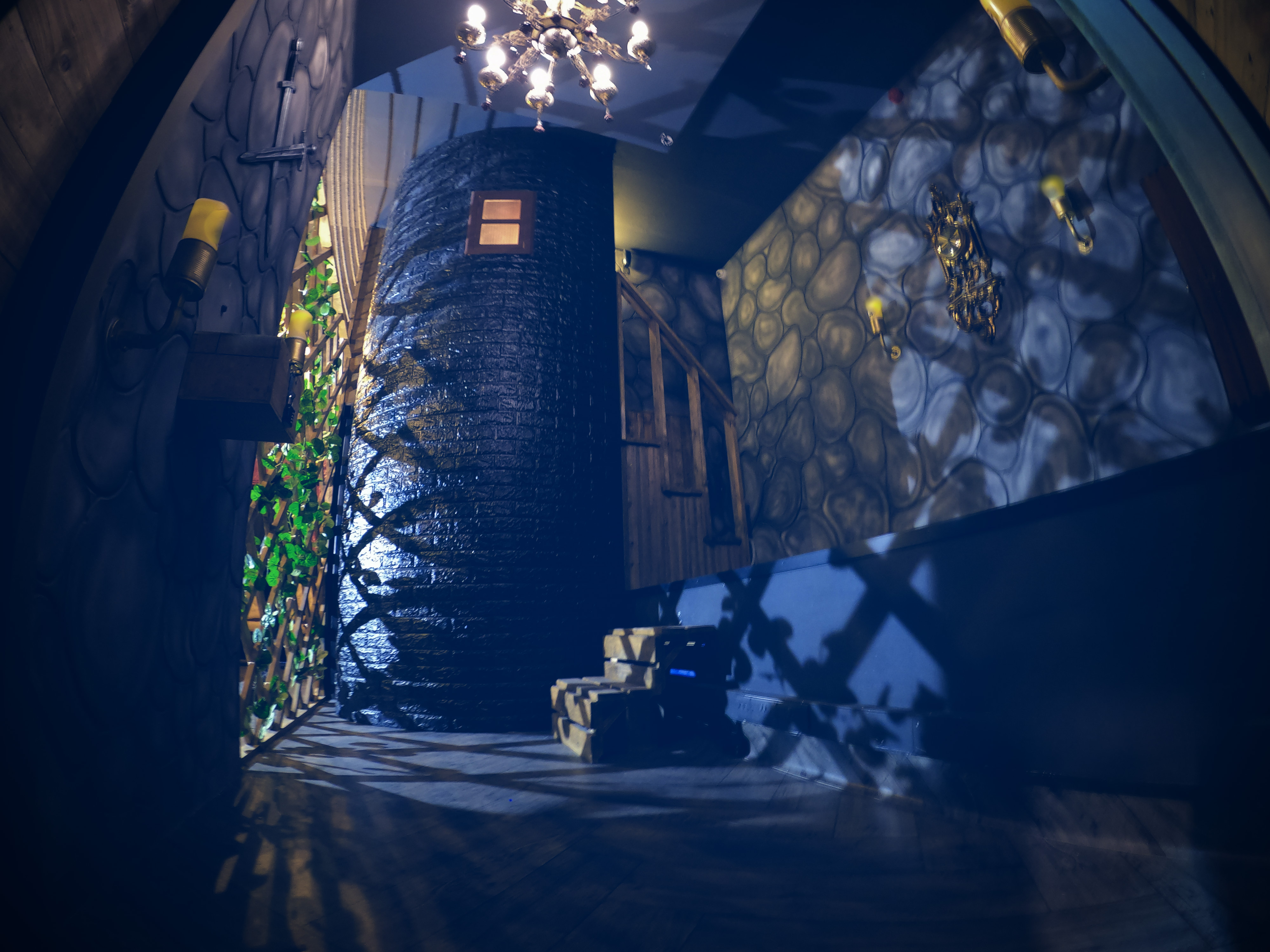 The Forbidden Castle