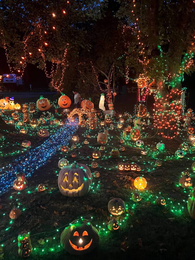 Halloween Lights Drive Through