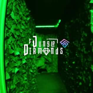 Jungle Diamonds