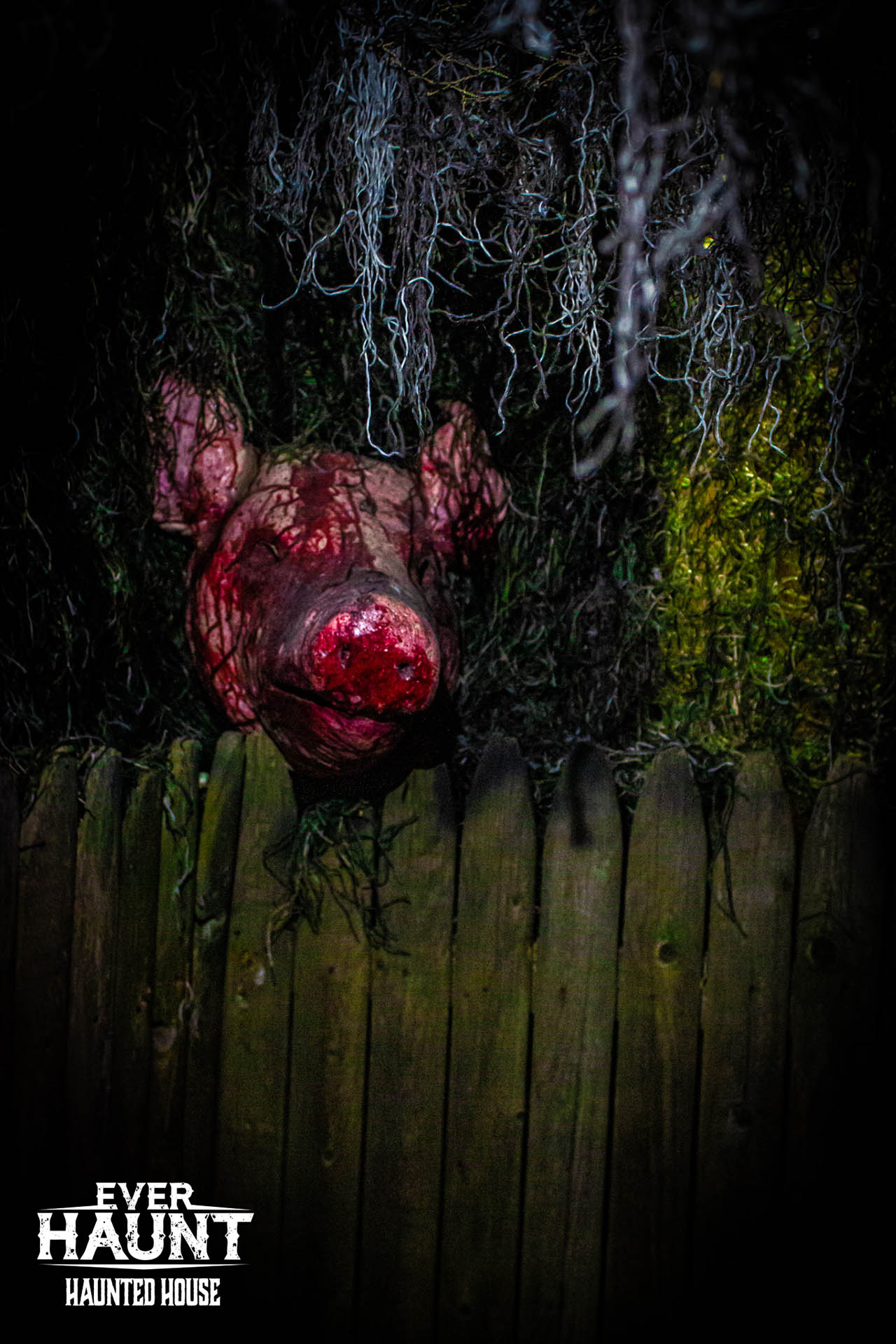 Everhaunt Haunted House [Season 2023]
