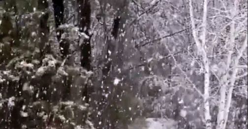 The Blizzard Escape
