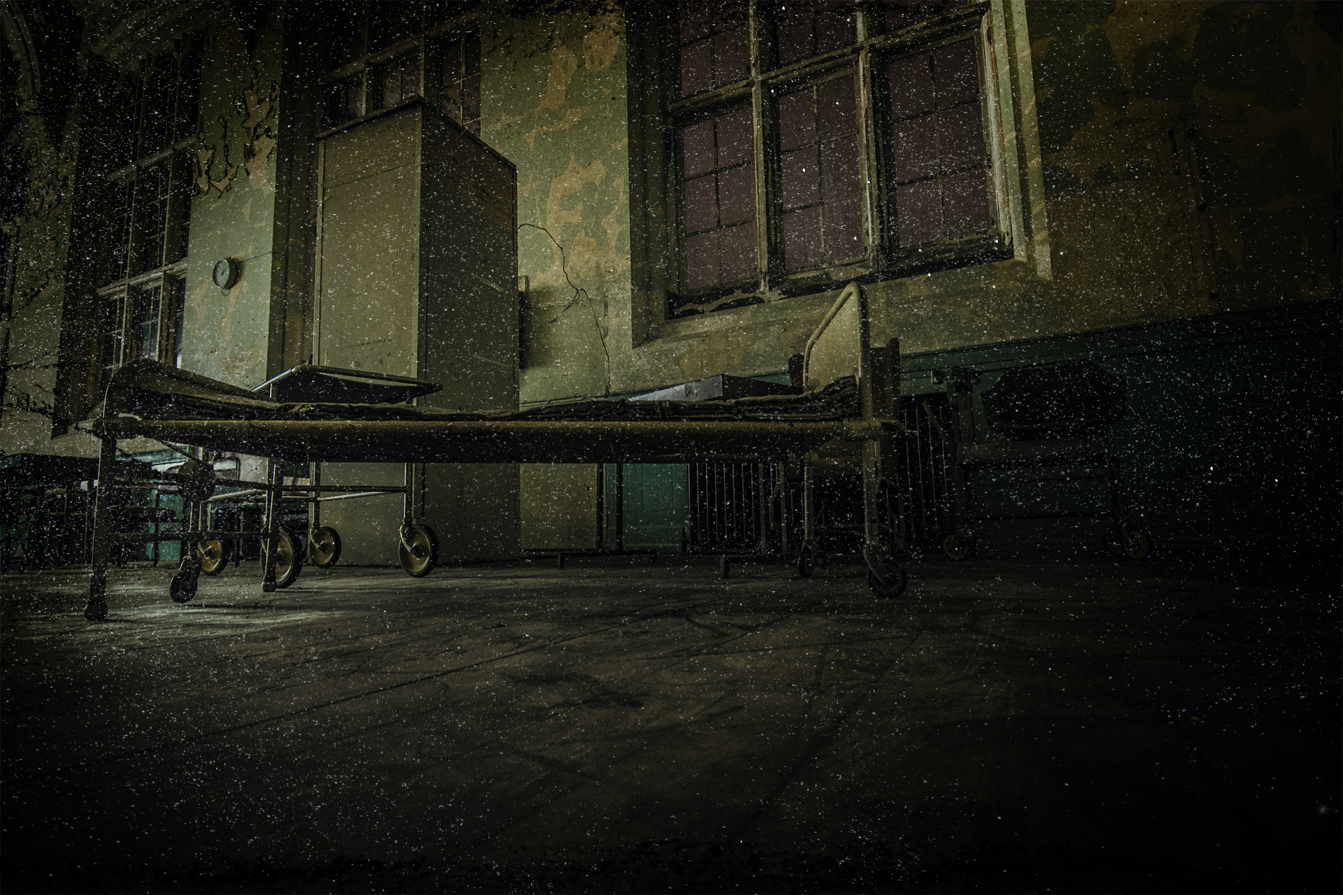 Shady Acres Asylum