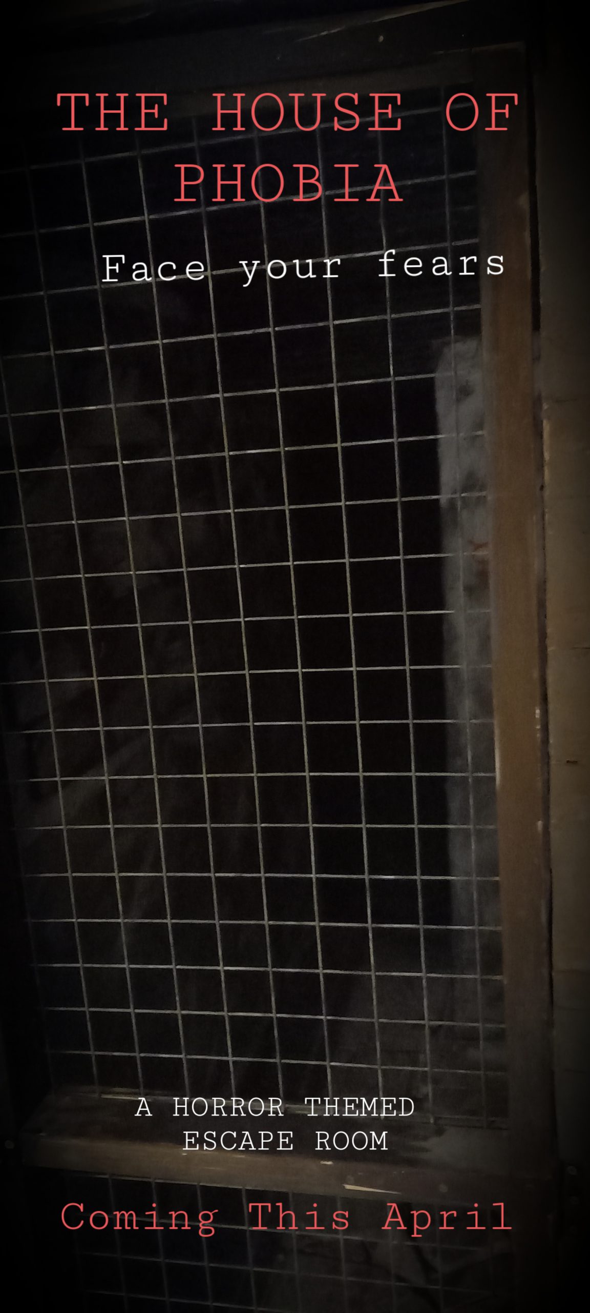 House Of Phobia