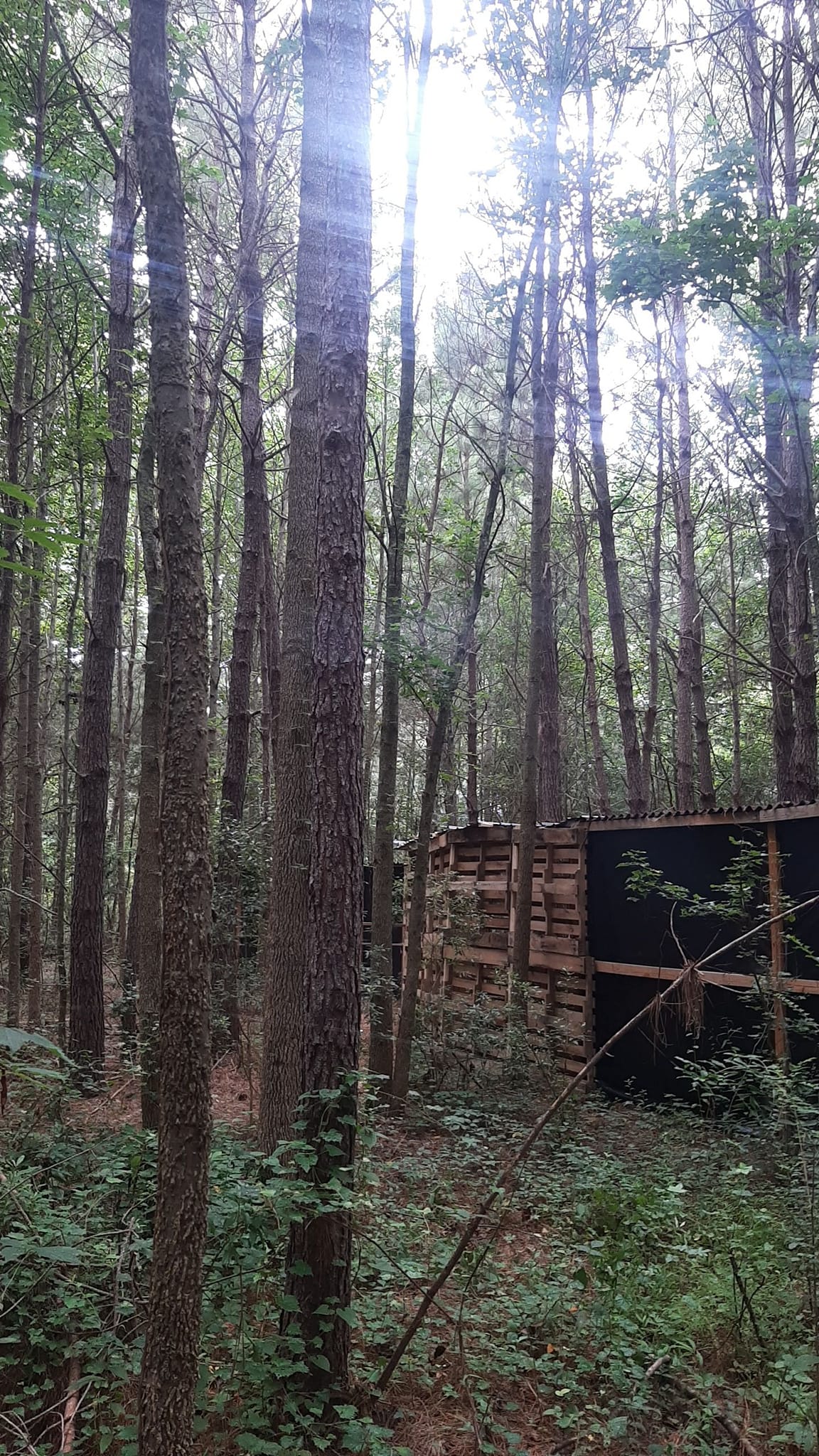 Twisted Terror Extreme Haunted Trail