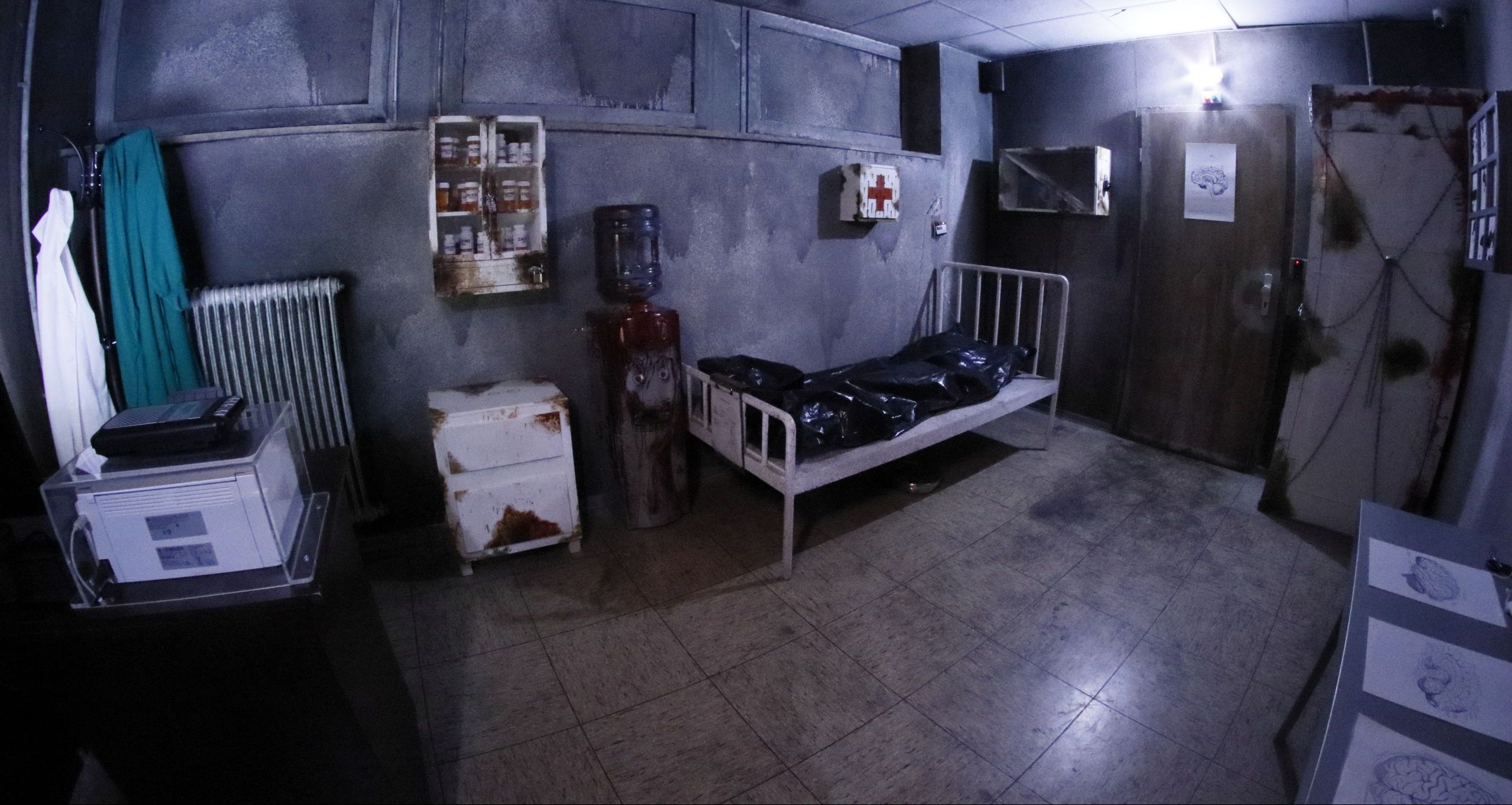 Das Experiment des Dr. Romanov [The Experiment of Dr. Romanov]