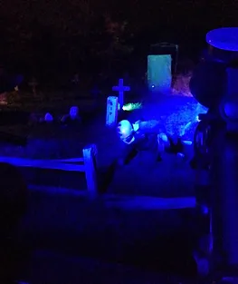 Zombie Paintball Safari