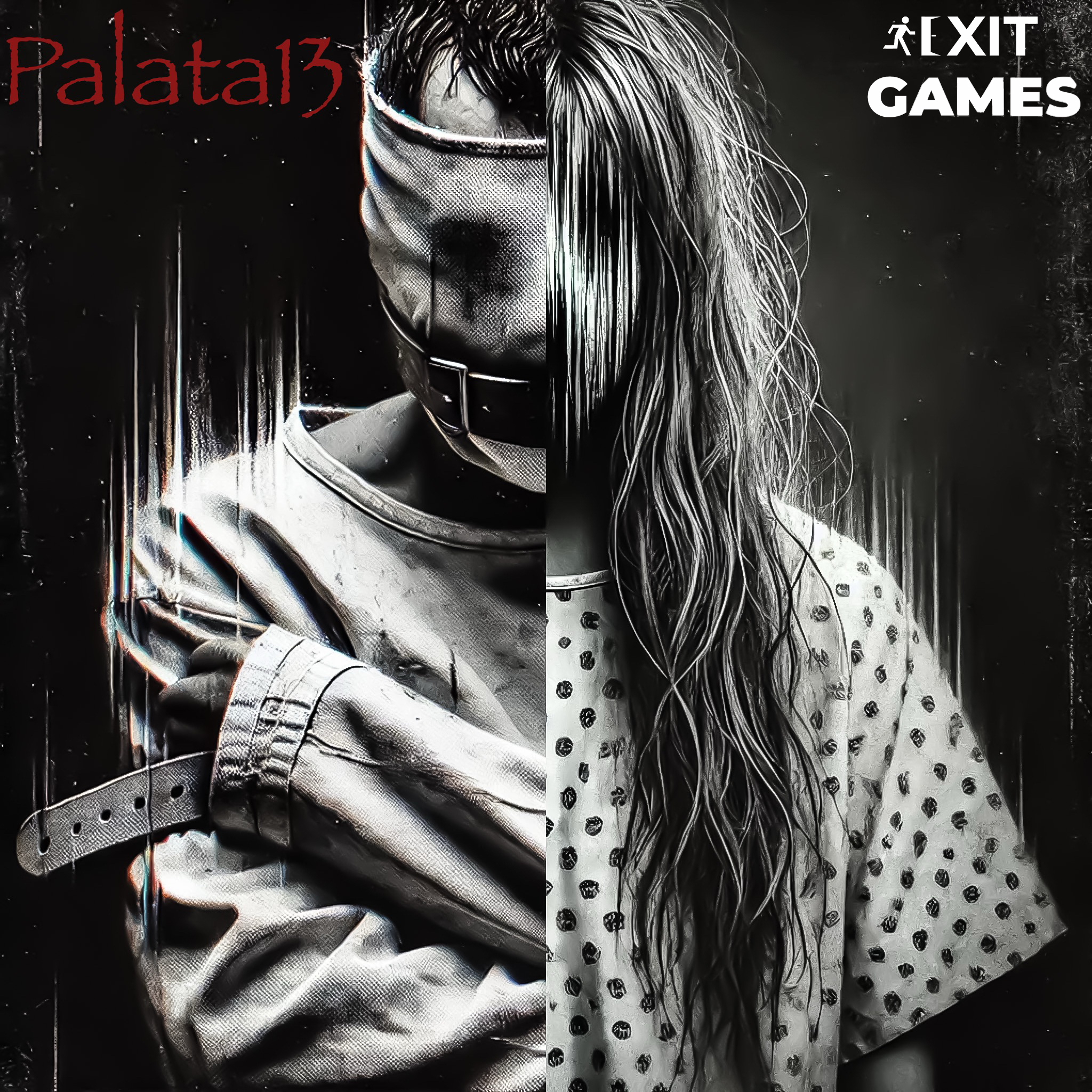 Palata 13