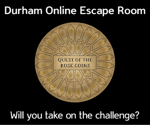 Quest of the Rose Coins