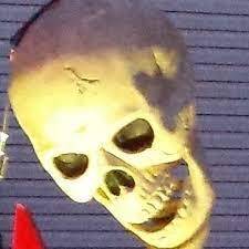 Skeletons on Schiedler