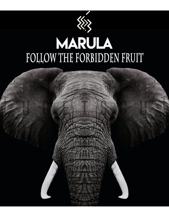 Marula, Follow the Forbidden Fruit!