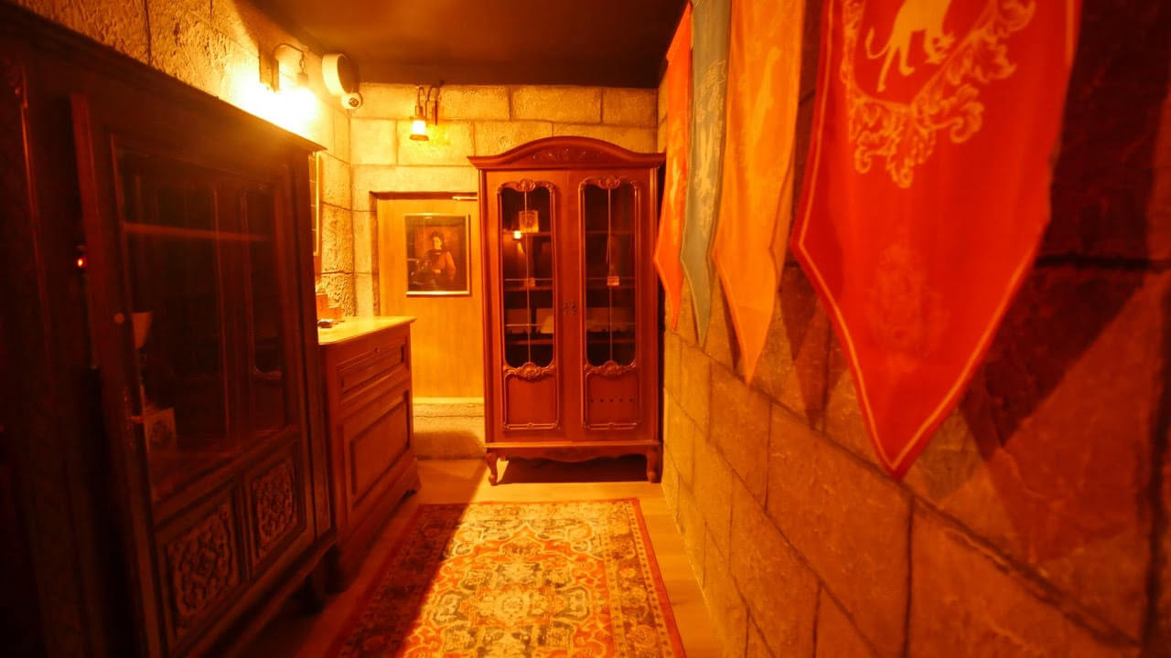 La Magie D’Harry Potter [The Magic of Harry Potter]