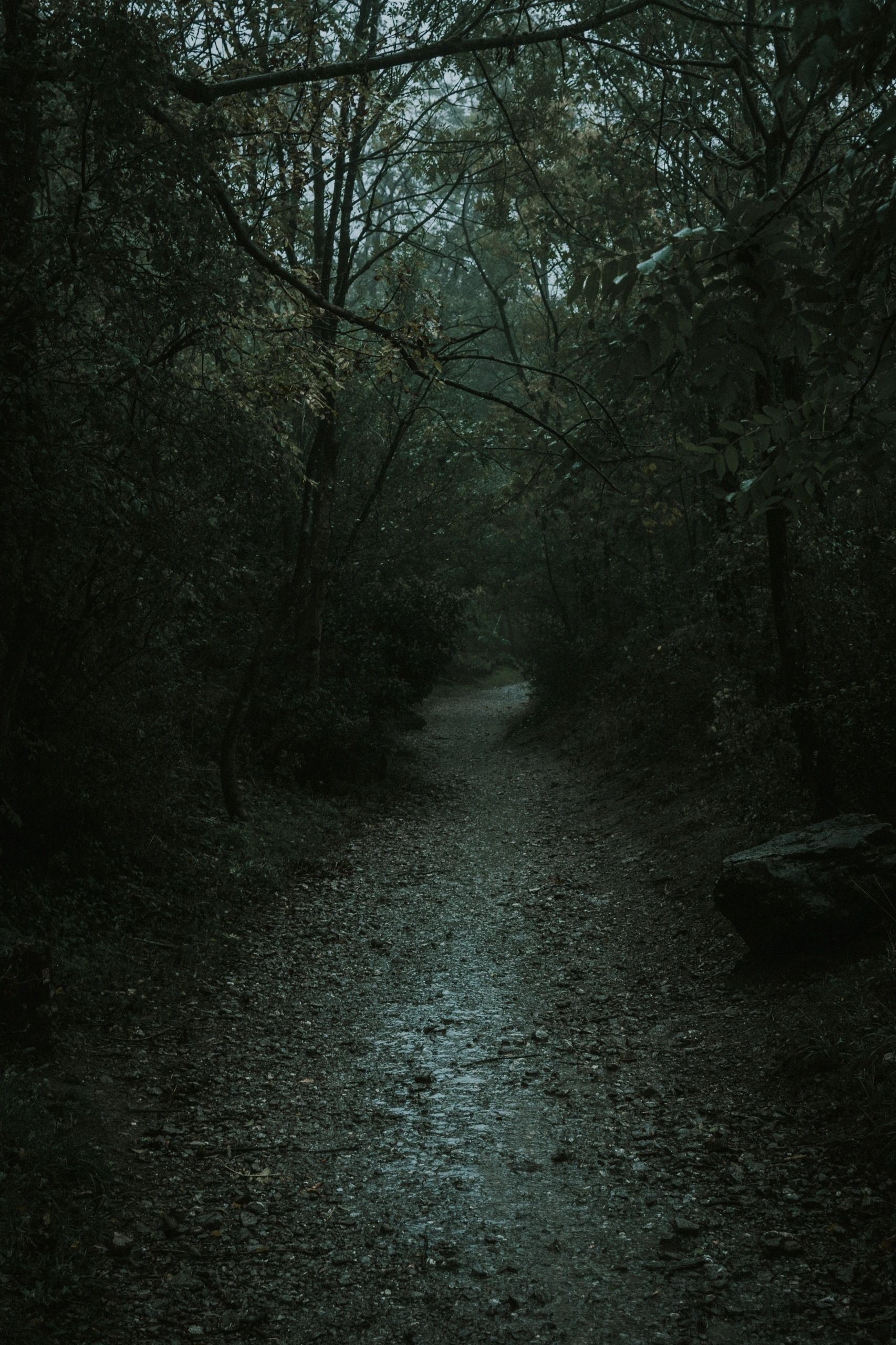 The 13th Hour Haunted Trail