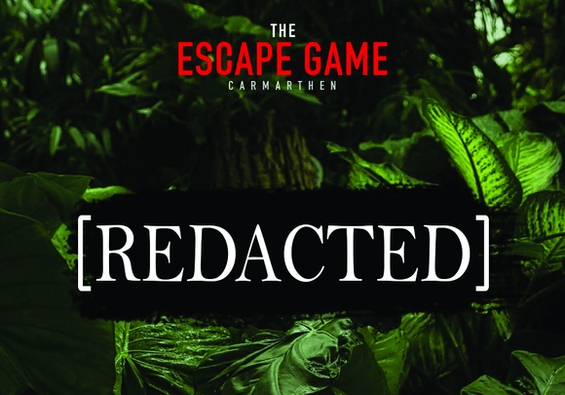 [Redacted]
