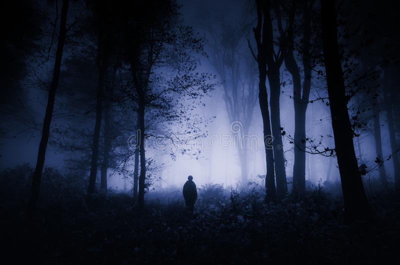 Terror Woods