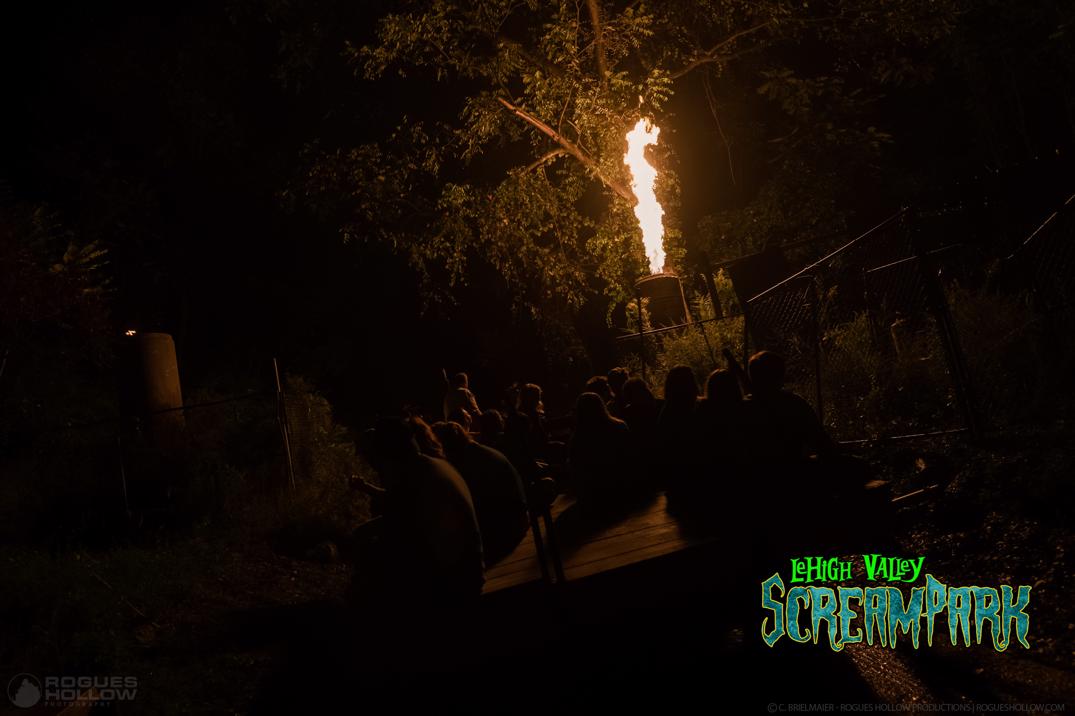 Hollow of Horror Hayride