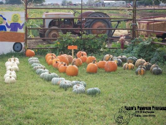 Hayride