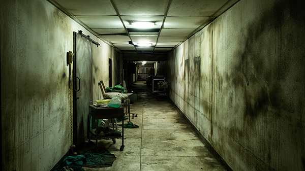 Lunatic Asylum