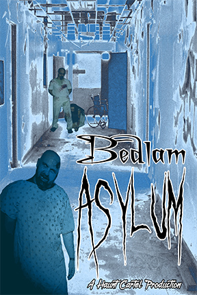 Bedlam Asylum 2