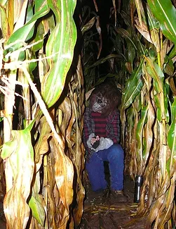 The Beacon’s Haunted House & Corn Maze
