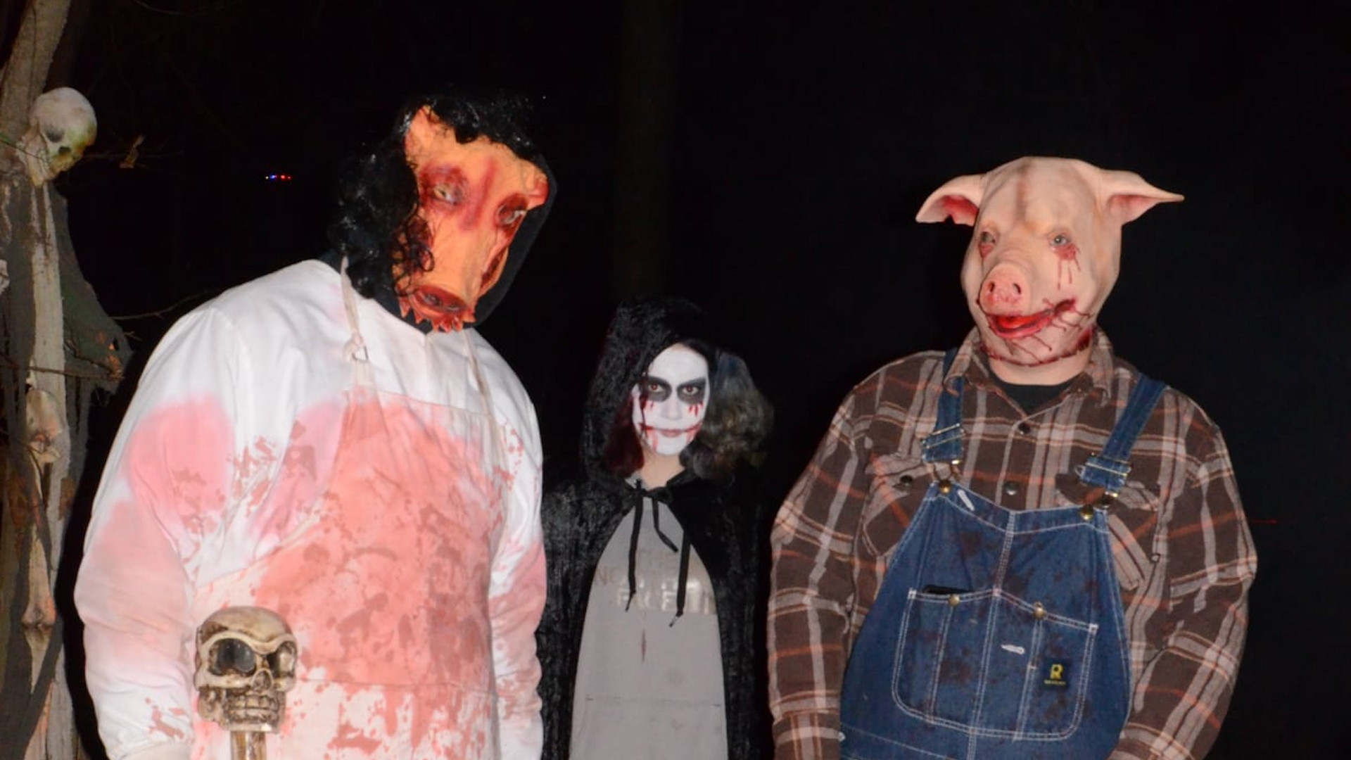 Haunted Woods of Creek Hill