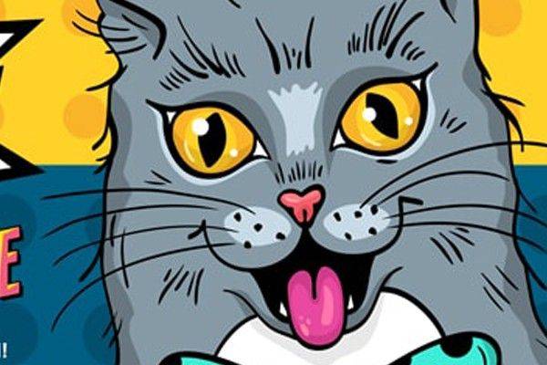 Crazy Cat Lady