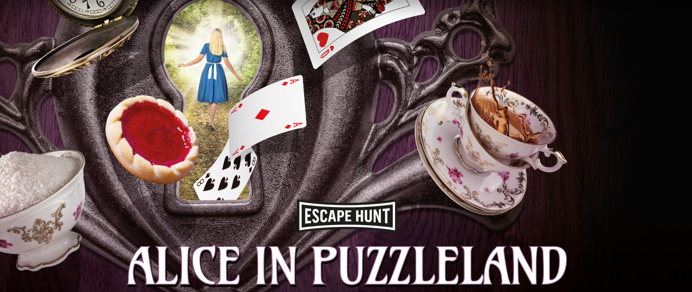 Alice In Puzzleland