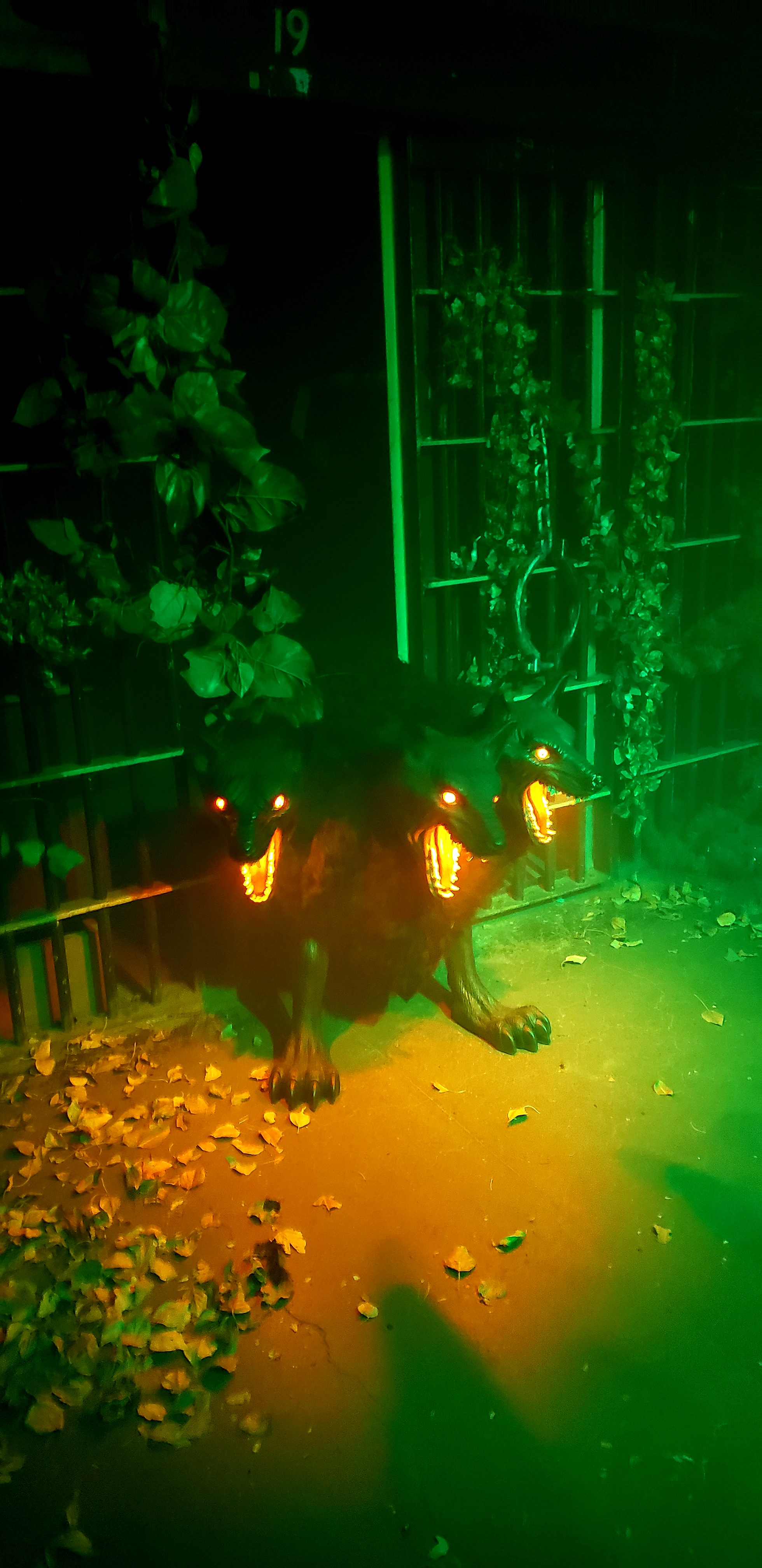 Haunted Halloween Night Tours