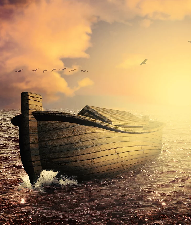 Escape The Flood