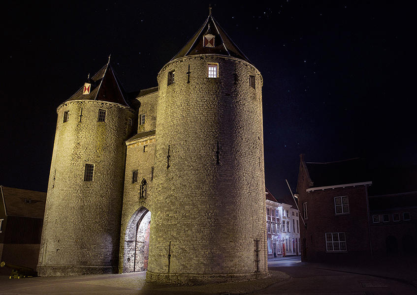 De Vergeten cel