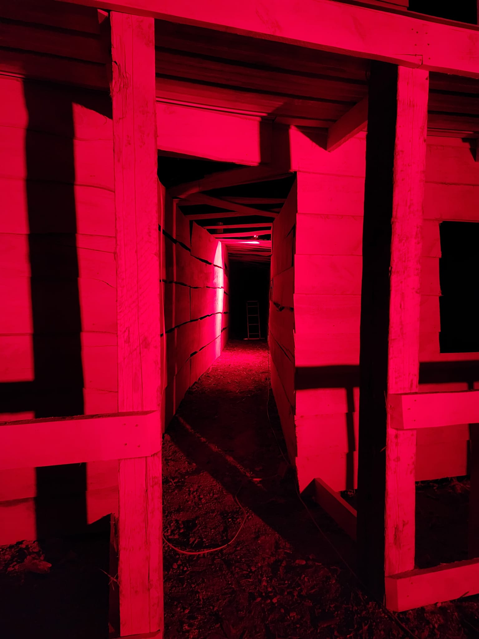 Black Ops Haunted House