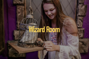 Wizard School