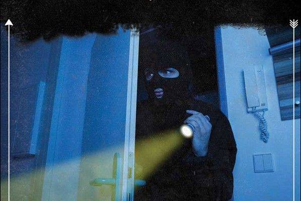 Cat Burglar