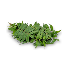 neem for dandruff