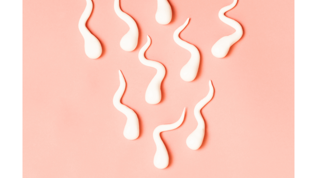 Gokshura benefits men’s sperm health