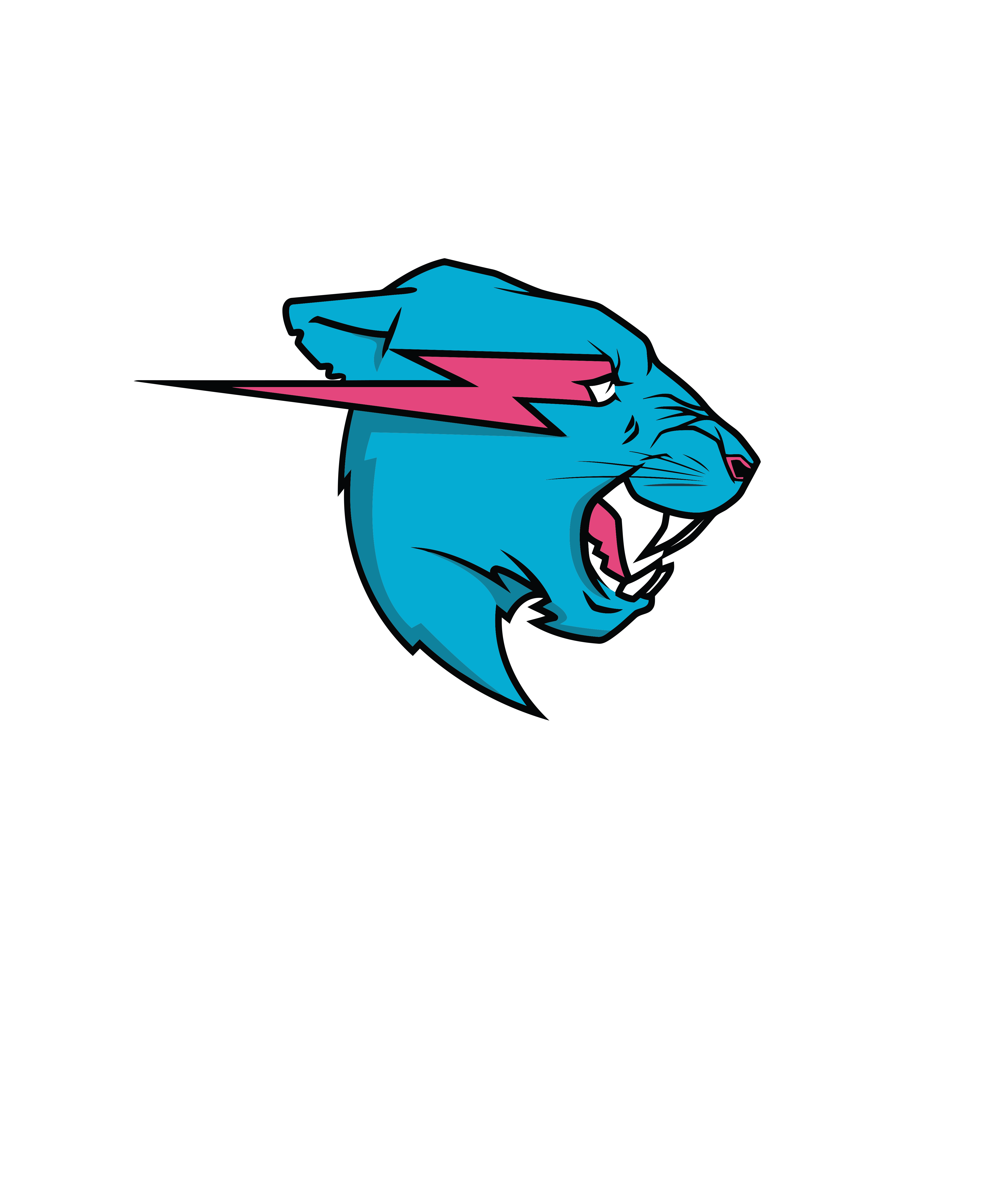 mrbeast merch 40 million