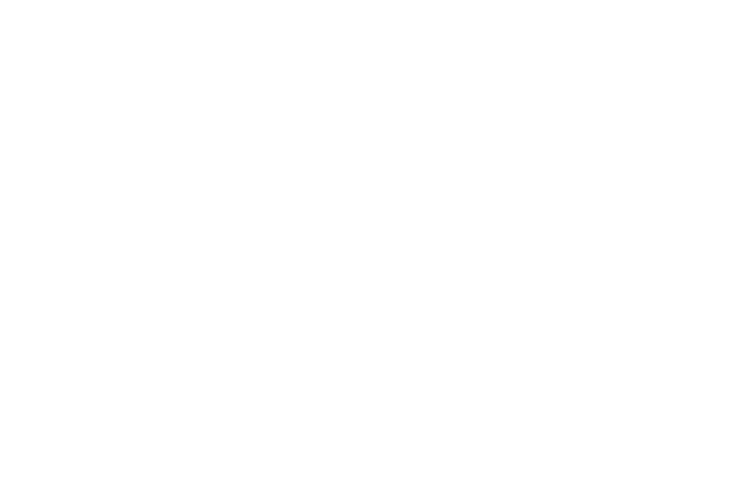 We made a name for ourselves