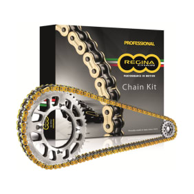 Regina Chain Kit Mv Agu F4 (312R)