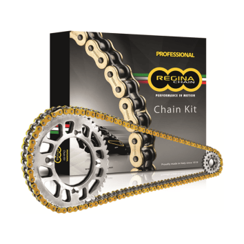 Regina Chain Kit Tri Speed Triple 02-08