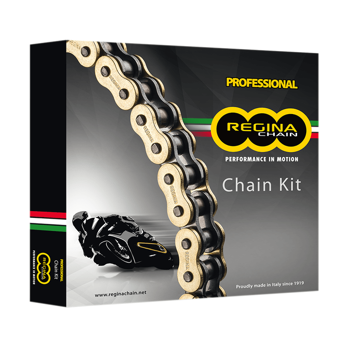 Regina Chain Kit Duc 848/S Evo/Dark 08-10