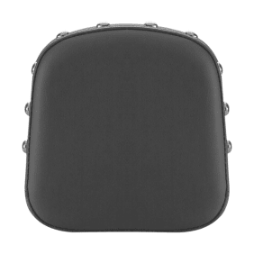 Saddlemen Seat backrest Pad Sissybar Renegade