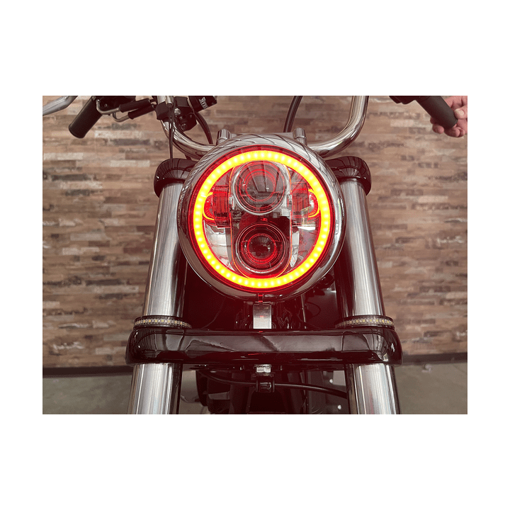 Faro Custom Dynamics Headlight Pg 5.75 Halo C