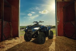 Kawasaki Grayish Blue (BU1) thumbnail 3