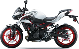 Kawasaki Pearl Blizzard White / Ebony (WT1) thumbnail 2
