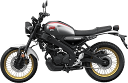 Yamaha Legend Silver thumbnail 4
