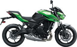 Kawasaki green thumbnail 0