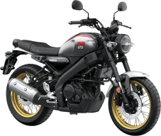 Yamaha Legend Silver thumbnail 1