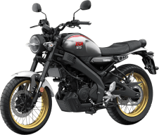 Yamaha Legend Silver thumbnail 3