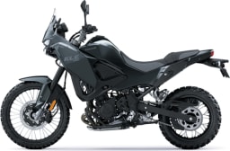 Kawasaki grey thumbnail 2