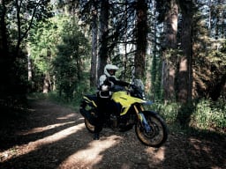 Suzuki white thumbnail 3